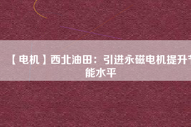 【電機】西北油田：引進(jìn)永磁電機提升節(jié)能水平
          