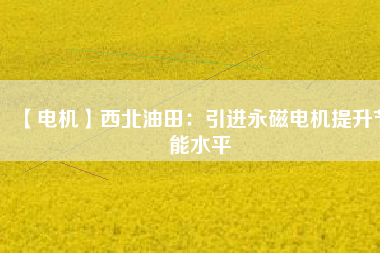【電機】西北油田：引進(jìn)永磁電機提升節(jié)能水平
          