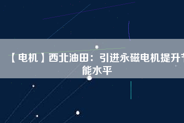 【電機】西北油田：引進(jìn)永磁電機提升節(jié)能水平
          
