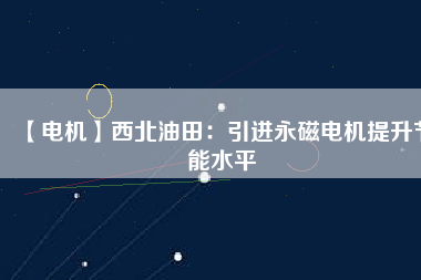 【電機】西北油田：引進(jìn)永磁電機提升節(jié)能水平
          