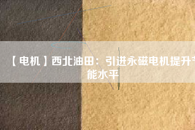 【電機】西北油田：引進(jìn)永磁電機提升節(jié)能水平
          