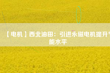 【電機】西北油田：引進(jìn)永磁電機提升節(jié)能水平
          